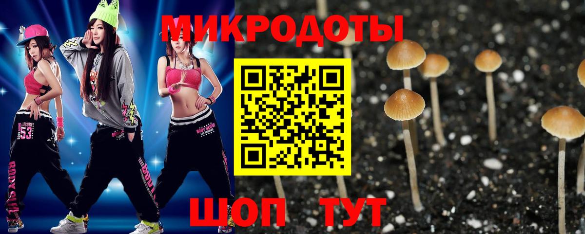 Хасавюрт  Псилоцибиновые грибы Psilocybine cubensis  как найти закладки  Вход с VPN  Галлюциногенные грибы ЛСД 
